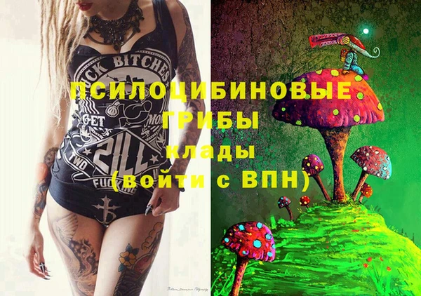 дурь Вяземский