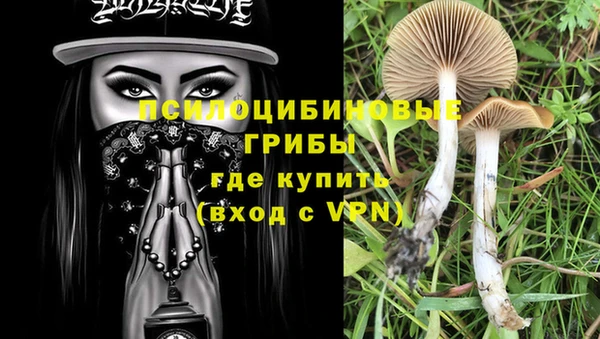 крисы Горно-Алтайск
