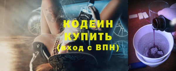 дурь Вяземский
