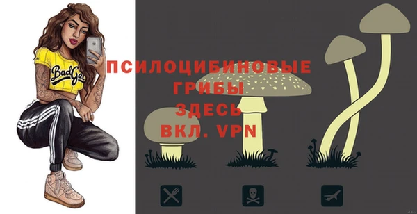 MDMA Вязьма