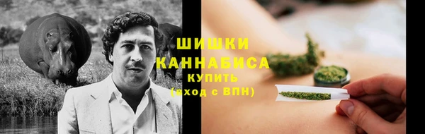дурь Вяземский
