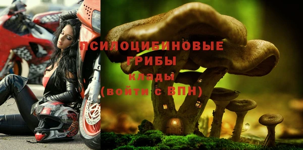 не бодяженный Горняк