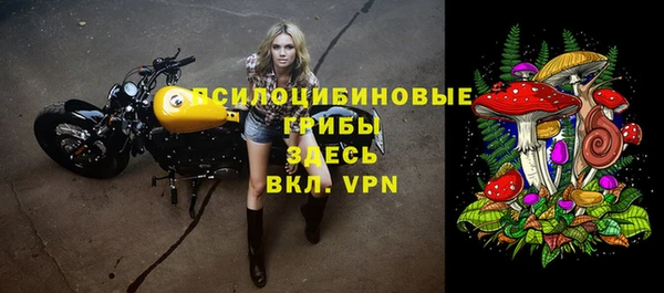 дурь Вяземский